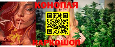 гашик Новокубанск