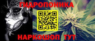 гашик Новокубанск