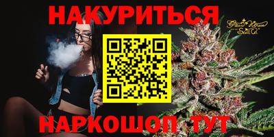гашик Новокубанск