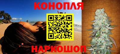 spice Новозыбков