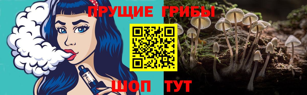 Псилоцибиновые грибы Cubensis Трёхгорный